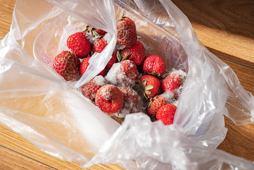 Traditional Zip Bags
